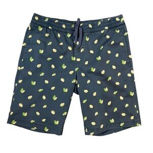 Bixby Nomad Mens Avocado Print Chino Shorts Navy Blue MGW20474 Size 33